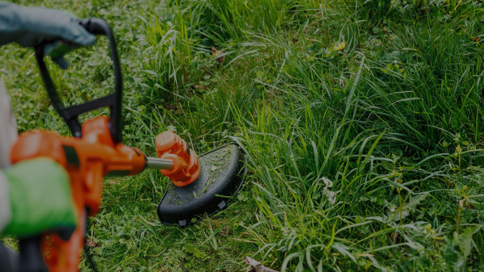 Soluzioni per l&rsquo;agricoltura